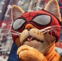 Foto Kucing Spiderman