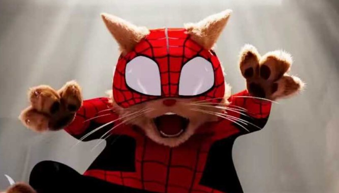 Foto Profil WA Kucing Spiderman