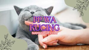 PP WA Kucing