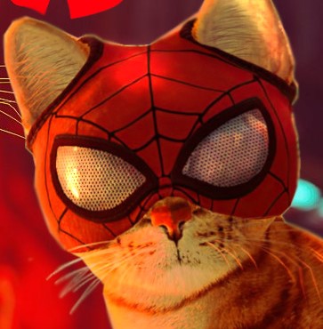 Photo Profile WA Kucing Spiderman