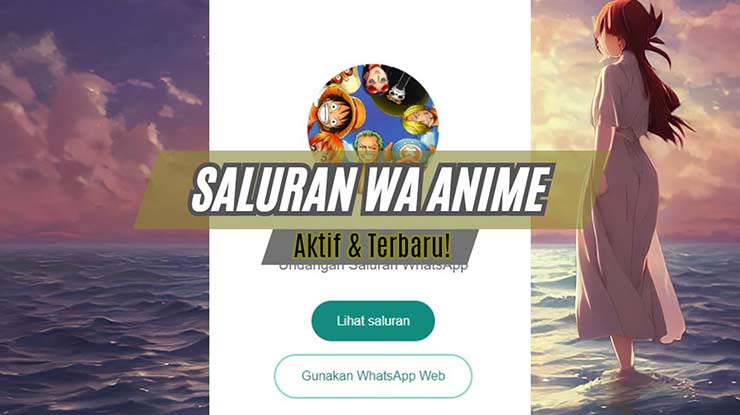 Saluran WA Anime