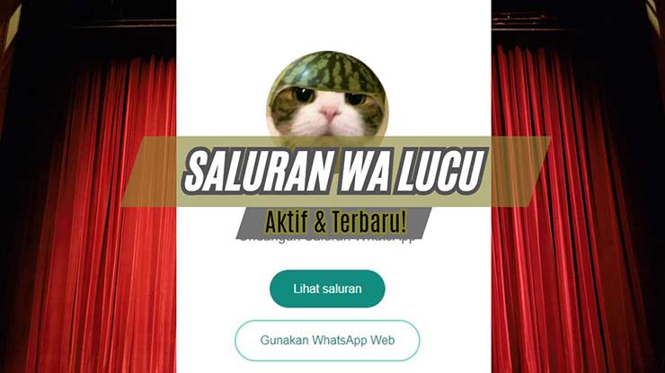 Saluran WA Lucu