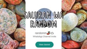 Saluran WA Random