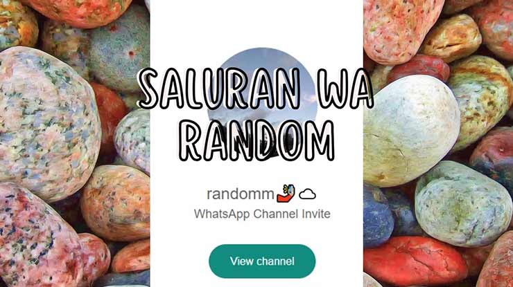 Saluran WA Random